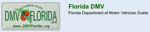florida drivers license points check